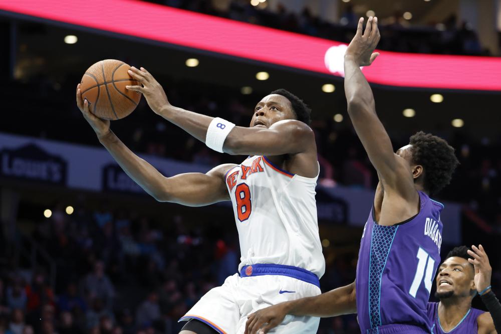 不仅展示了 不仅展示了